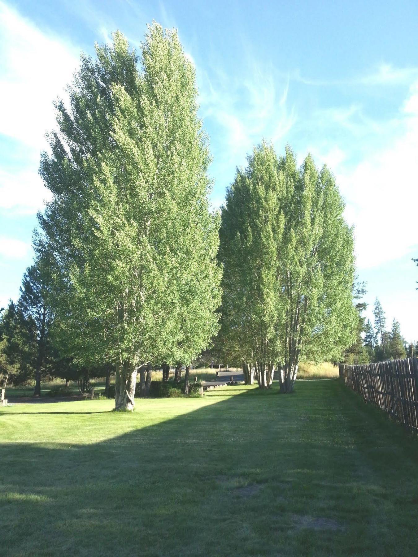 Diamondstone Guest Lodges La Pine Exterior foto